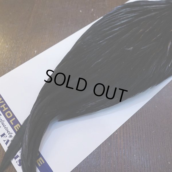 画像5: 【WHITING】American Rooster Cape - BLACK (5)