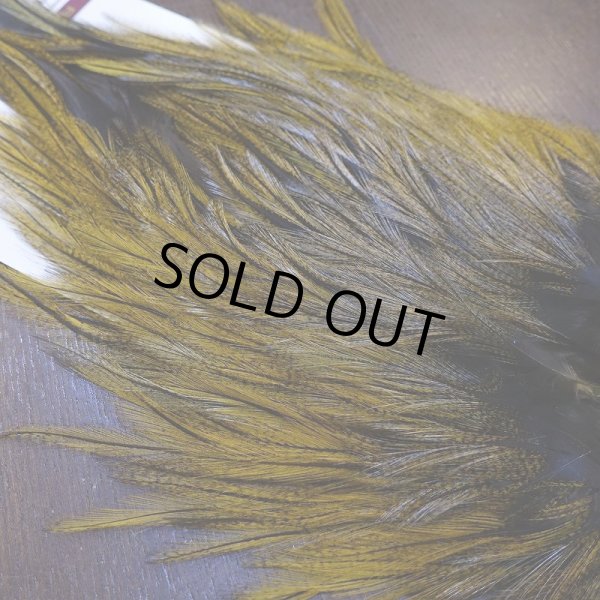 画像4: 【WHITING】Coq de Leon Saddle Bronze Grade - DYED BADGER/GOLDEN OLIVE (4)