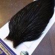 画像3: 【WHITING】American Rooster Cape - BLACK (3)