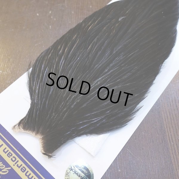 画像3: 【WHITING】American Rooster Cape - BLACK (3)