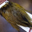 画像2: 【WHITING】Coq de Leon Saddle Bronze Grade - DYED BADGER/GOLDEN OLIVE (2)