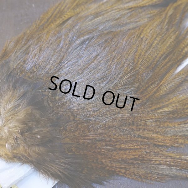 画像3: 【WHITING】Coq de Leon Saddle Bronze Grade - DYED BADGER/MEDIUM GINGER (3)