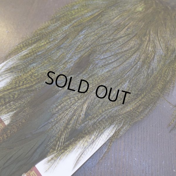 画像5: 【WHITING】Coq de Leon Saddle Bronze Grade - DYED BADGER/OLIVE (5)