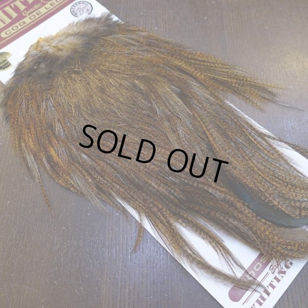 画像2: 【WHITING】Coq de Leon Saddle Bronze Grade - DYED BADGER/MEDIUM GINGER (2)