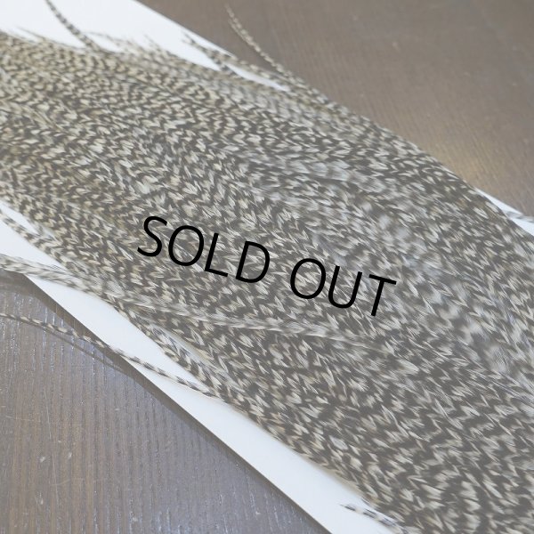 画像4: 【WHITING】Hebert Pro Grade Rooster Saddle - Grizzly #14 No.3 (4)