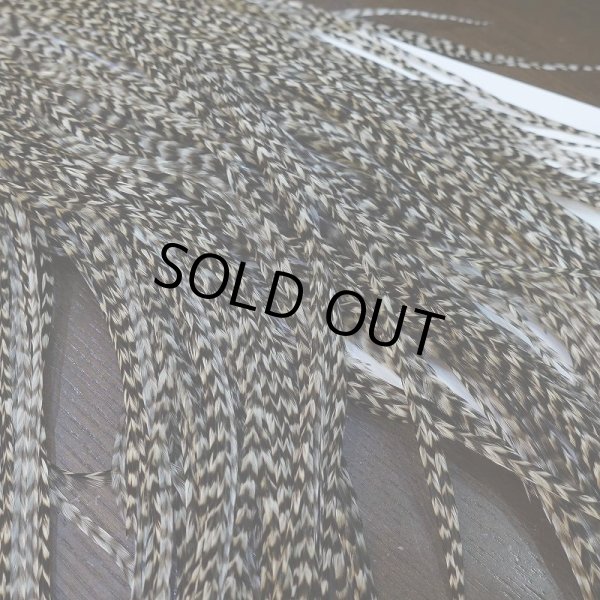 画像6: 【WHITING】Hebert Pro Grade Rooster Saddle - Grizzly #14 No.3 (6)