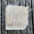 画像1: BRITISH KID GOAT HAIR(10x10cm) (1)