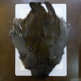 フライマテリアル - DOLLYVARDEN FLY FISHING SHOP (Page 2)