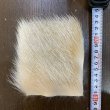 画像3: BRITISH KID GOAT HAIR(10x10cm) (3)