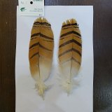 希少　スペックルドバスタード　約30cm スペックルドバスタード No.1 | 北海道フィッシングガイドRiver