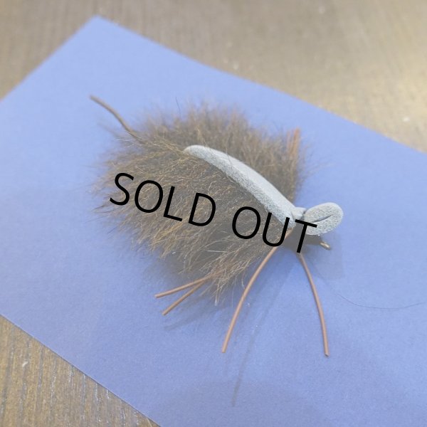 画像3: 【SUGISAKA】ドライマウス (3)