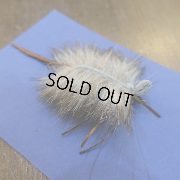 画像4: 【SUGISAKA】ドライマウス (4)