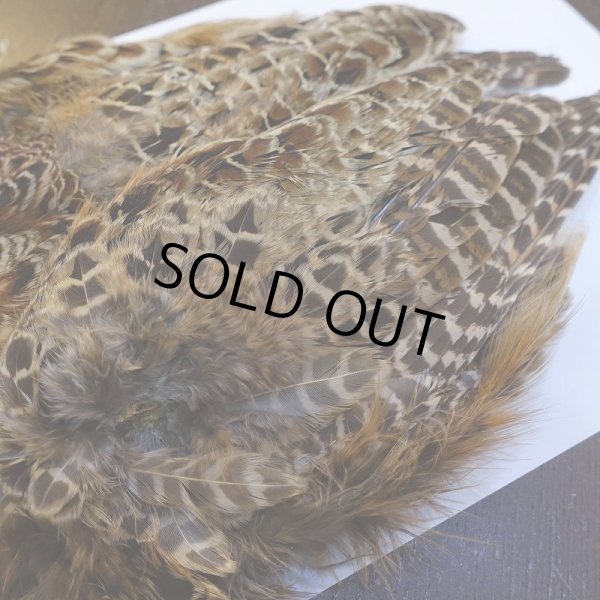 画像4: 【ANGLE】HEN PHEASANT BODY SKIN (4)