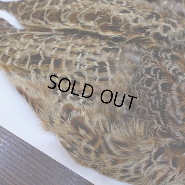 画像3: 【ANGLE】HEN PHEASANT BODY SKIN (3)