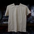 画像5: 【Freerage】"Standard" リサイクルコットンTee  (5)