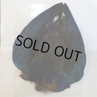 パープルスワンヘン・コンプリート No.2