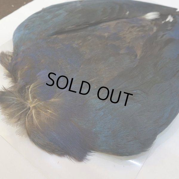 画像2: パープルスワンヘン・コンプリート No.2 (2)