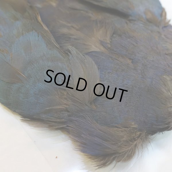 画像3: パープルスワンヘン・コンプリート No.1 (3)