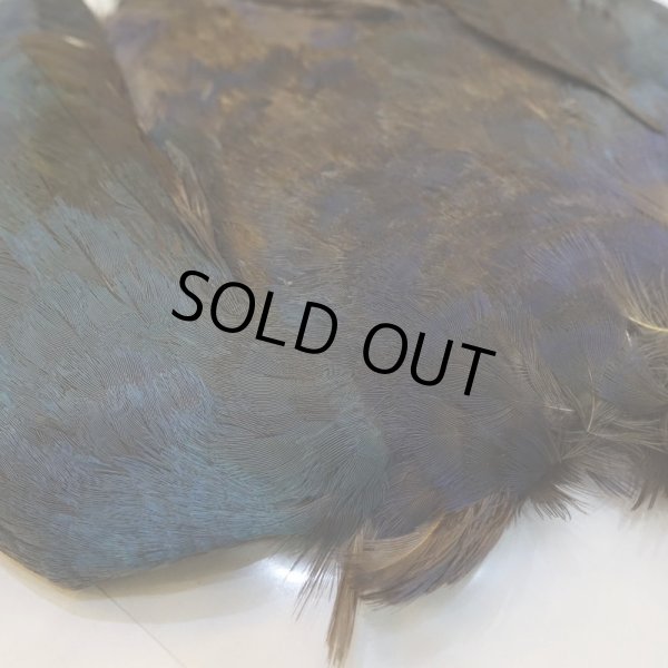 画像3: パープルスワンヘン・コンプリート No.2 (3)