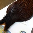 画像3: 【WHITING】High & Dry ROOSTER Cape - Dyed Coachman Brown No.3 (3)