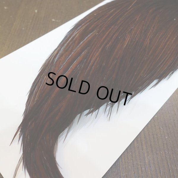 画像5: 【WHITING】High & Dry ROOSTER Cape - Dyed Coachman Brown No.3 (5)