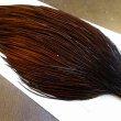 画像4: 【WHITING】High & Dry ROOSTER Cape - Dyed Coachman Brown No.3 (4)