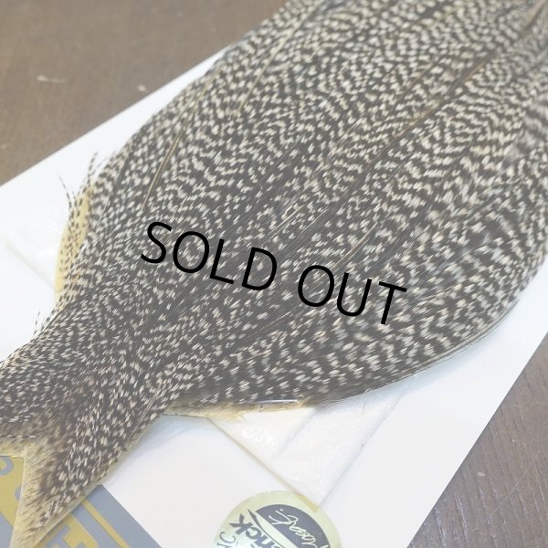 画像3: 【WHITING】High & Dry ROOSTER Cape - Grizzly Variant No.4 (3)