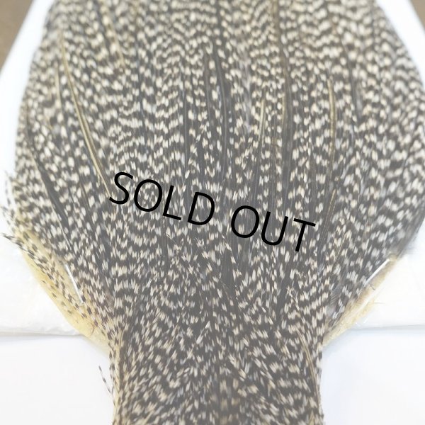 画像5: 【WHITING】High & Dry ROOSTER Cape - Grizzly Variant No.4 (5)