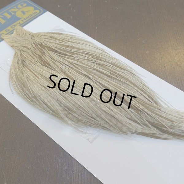 画像2: 【WHITING】High & Dry ROOSTER Cape - Variant (2)