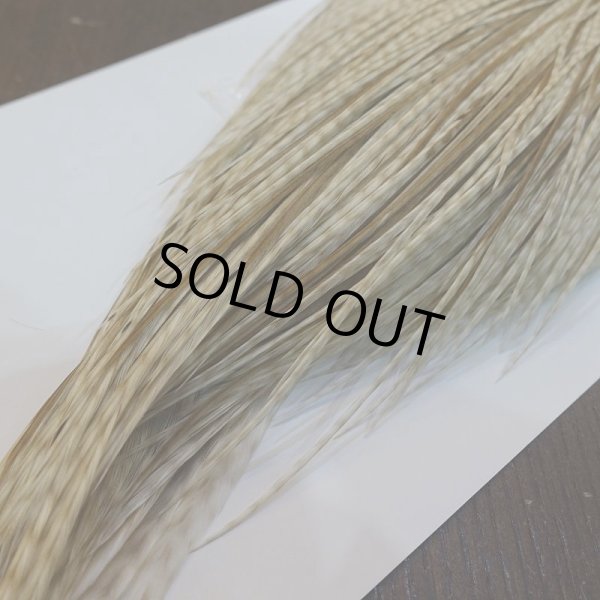 画像5: 【WHITING】High & Dry ROOSTER Cape - Variant (5)