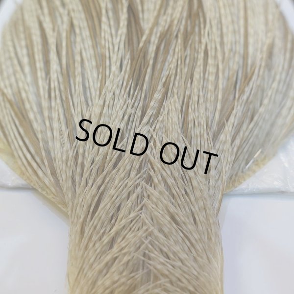 画像6: 【WHITING】High & Dry ROOSTER Cape - Variant (6)