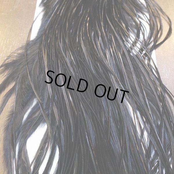 画像7: 【WHITING】ROOSTER SADDLE PRO Grade - Black No.2 #16 (7)