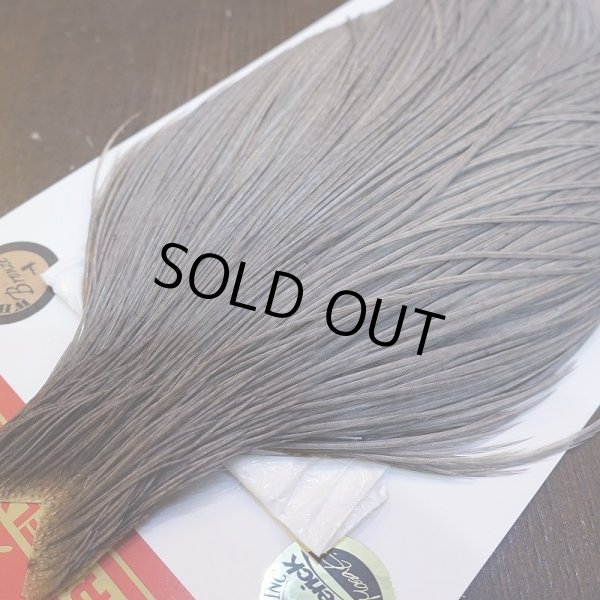 画像3: 【Whiting】ROOSTER CAPE BRONZE Grade - Medium Dun No.1 (3)