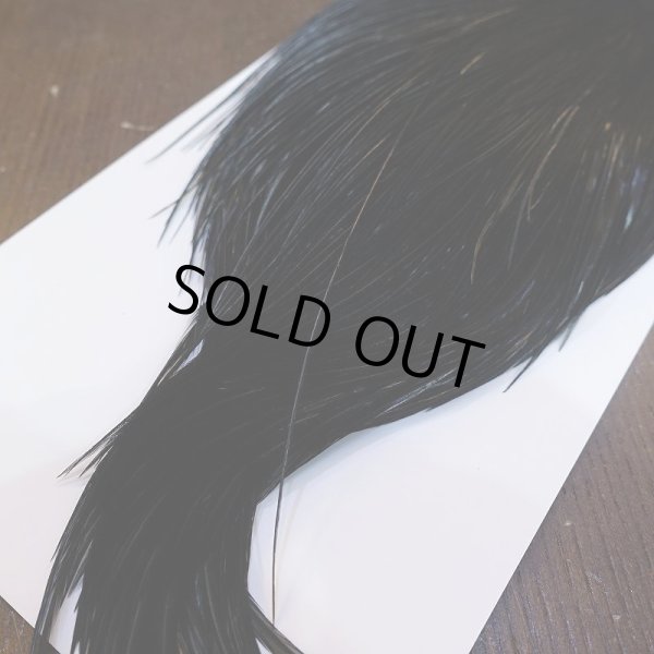 画像5: 【WHITING】High & Dry ROOSTER Cape - DYED BLACK No.1 (5)