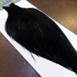 画像2: 【WHITING】High & Dry ROOSTER Cape - DYED BLACK No.2 (2)