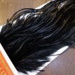 画像3: 【WHITING】ROOSTER SADDLE PRO Grade - Black No.2 #16 (3)