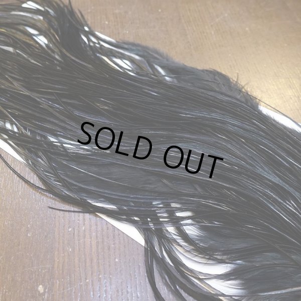 画像4: 【WHITING】ROOSTER SADDLE PRO Grade - Black No.2 #16 (4)