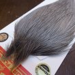 画像3: 【Whiting】ROOSTER CAPE BRONZE Grade - Medium Dun No.3 (3)