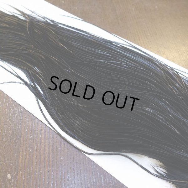 画像4: 【WHITING】ROOSTER SADDLE PRO Grade - Black No.3 #18 (4)