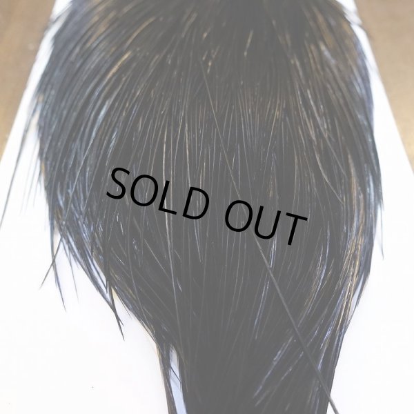 画像6: 【WHITING】High & Dry ROOSTER Cape - DYED BLACK No.1 (6)