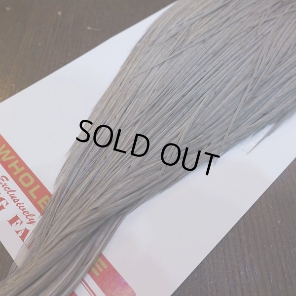 画像5: 【Whiting】ROOSTER CAPE BRONZE Grade - Medium Dun No.3 (5)