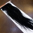 画像2: 【WHITING】ROOSTER SADDLE PRO Grade - Black No.3 #18 (2)