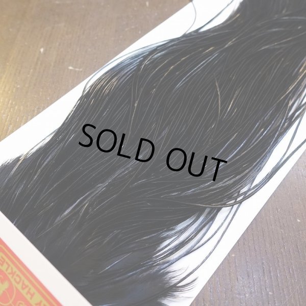 画像3: 【WHITING】ROOSTER SADDLE PRO Grade - Black No.3 #18 (3)