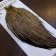 画像2: 【Whiting】HERITAGE ROOSTER CAPE #1 Grade No.13 (2)