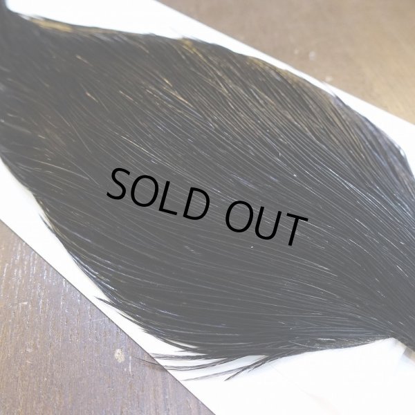 画像4: 【WHITING】High & Dry ROOSTER Cape - DYED BLACK No.2 (4)