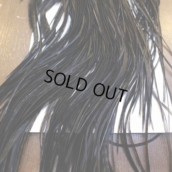 画像6: 【WHITING】ROOSTER SADDLE PRO Grade - Black No.2 #16 (6)