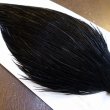 画像4: 【WHITING】High & Dry ROOSTER Cape - DYED BLACK No.3 (4)