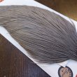 画像4: 【Whiting】ROOSTER CAPE BRONZE Grade - Medium Dun No.1 (4)