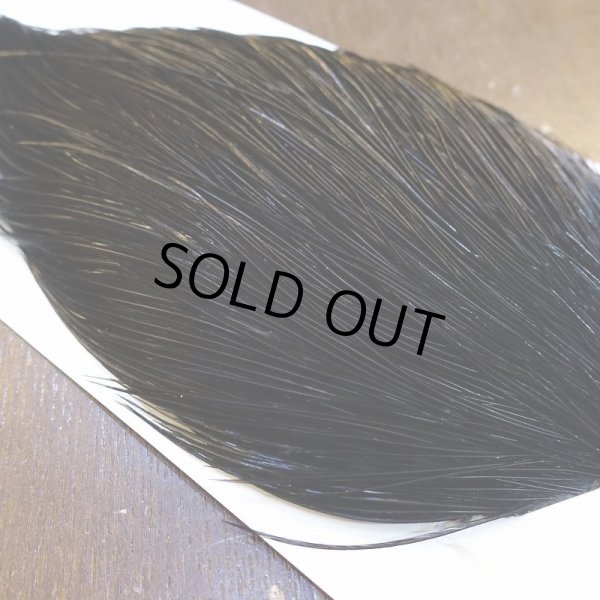 画像4: 【WHITING】High & Dry ROOSTER Cape - DYED BLACK No.1 (4)