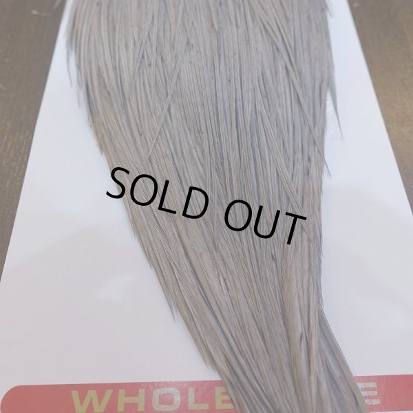 画像6: 【Whiting】ROOSTER CAPE BRONZE Grade - Medium Dun No.3 (6)